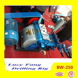 China Hot Powerful Cheapest BW-250 Mud Pump
