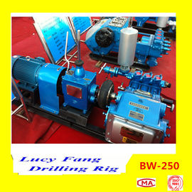 China Hot Powerful Cheapest BW-250 Mud Pump
